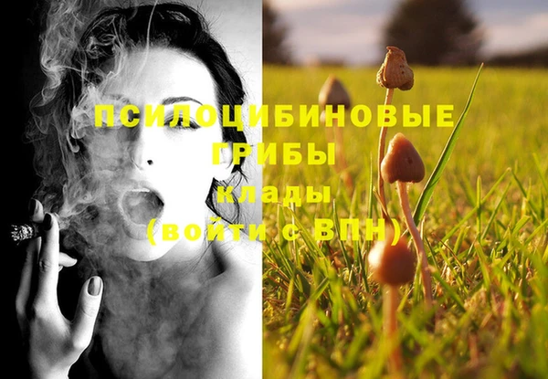 кокаин колумбия Алзамай